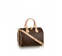 LouisVuitton/路易威登經典款Speedy25女士老花單肩包